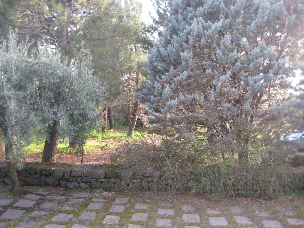La Casa Del Cavaliere Villa Santa Maria di Licodia Room photo