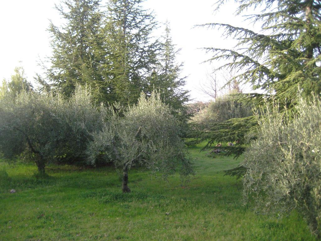 La Casa Del Cavaliere Villa Santa Maria di Licodia Room photo